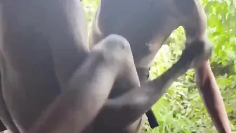 He Is Fucking Outdoor - Teen Girl