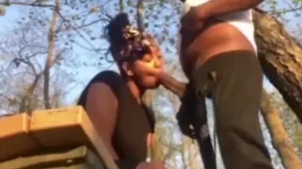 Sucking Black Dick and Taking Backshots At Public Park