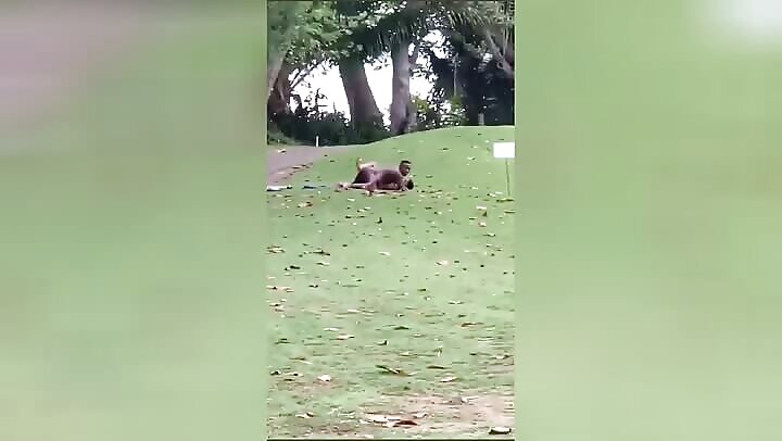 Caught Fucking At The Park